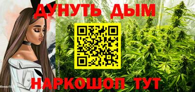 дмт Гудермес