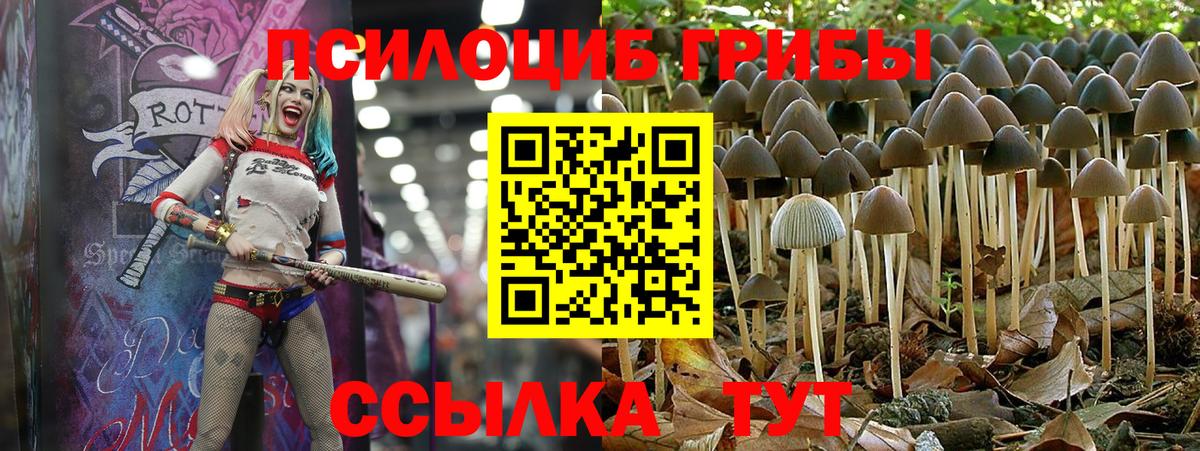 Псилоцибиновые грибы Magic Shrooms  Галлюциногенные грибы прущие грибы  Хасавюрт  Вход с VPN 